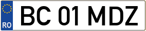 Trailer License Plate